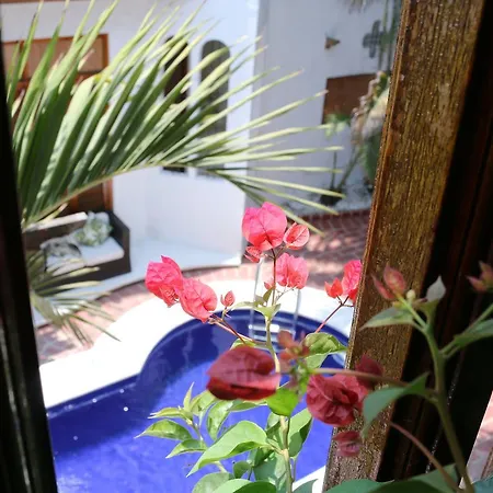 Palenque Casa Hotel Cartagena