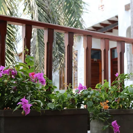 Hotel Palenque Casa